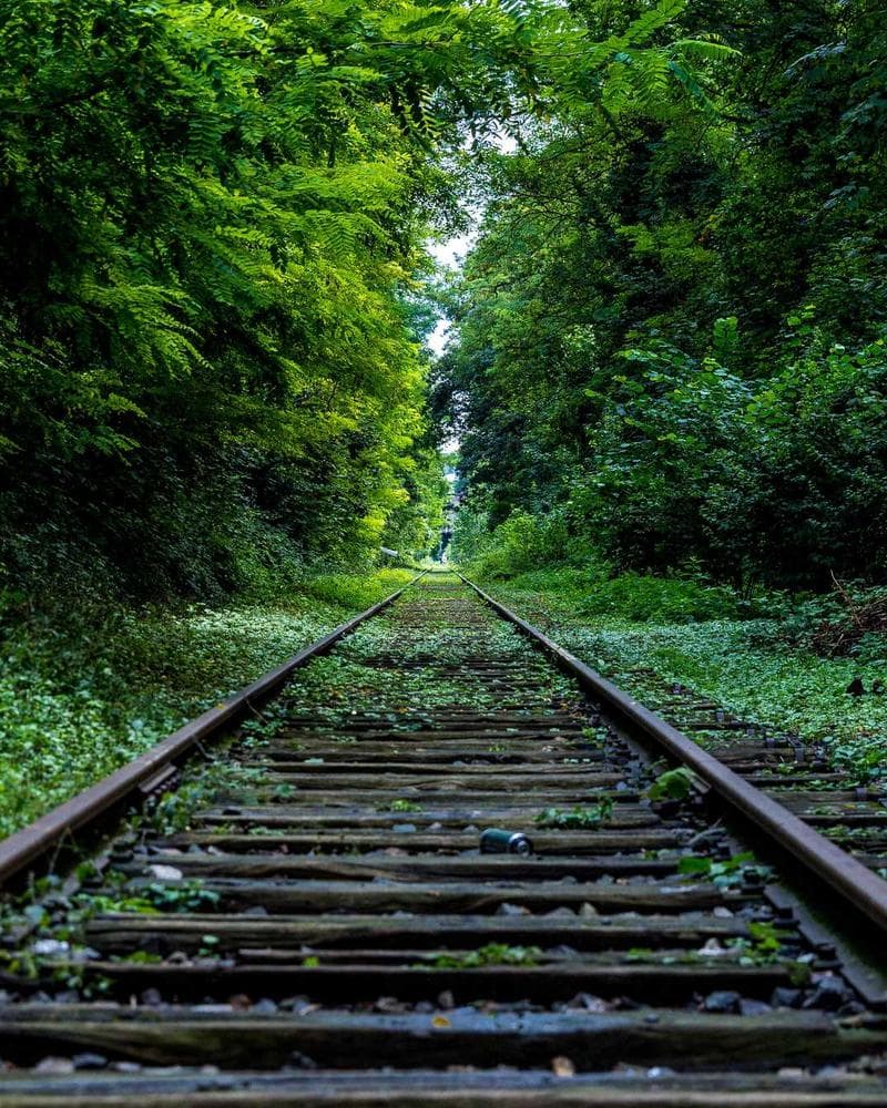 Modern Tropical Villa Detail 2