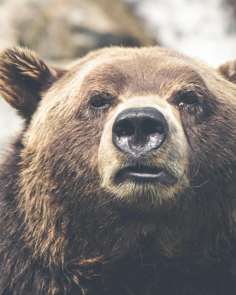 Modern Tropical Villa Detail 1