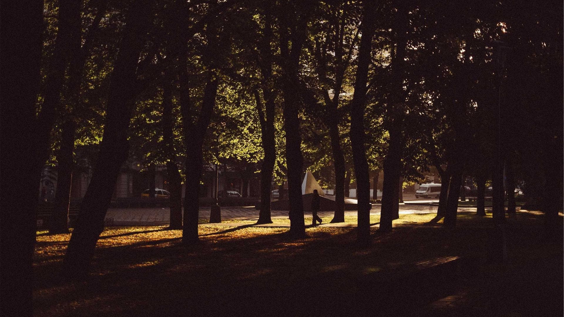 Modern Tropical Villa