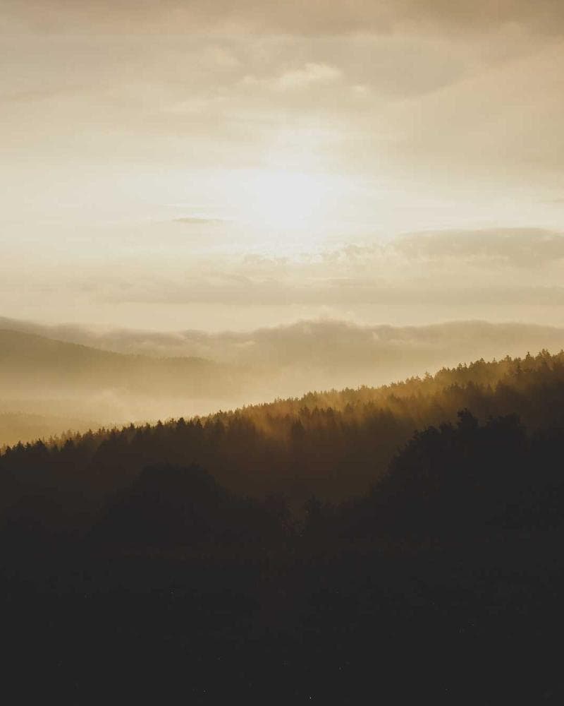 Modern Tropical Villa Detail 1