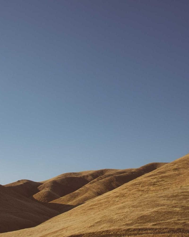 Modern Tropical Villa Detail 2