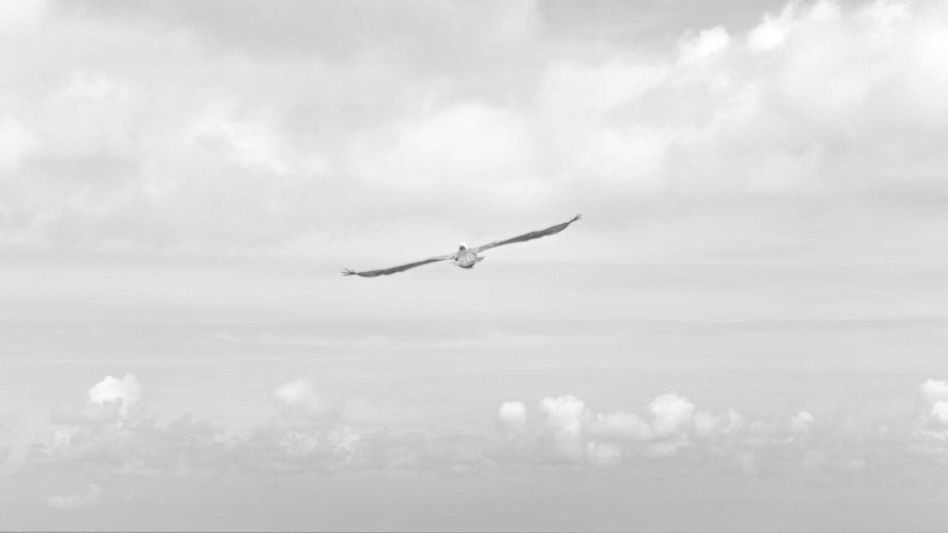 Modern Tropical Villa