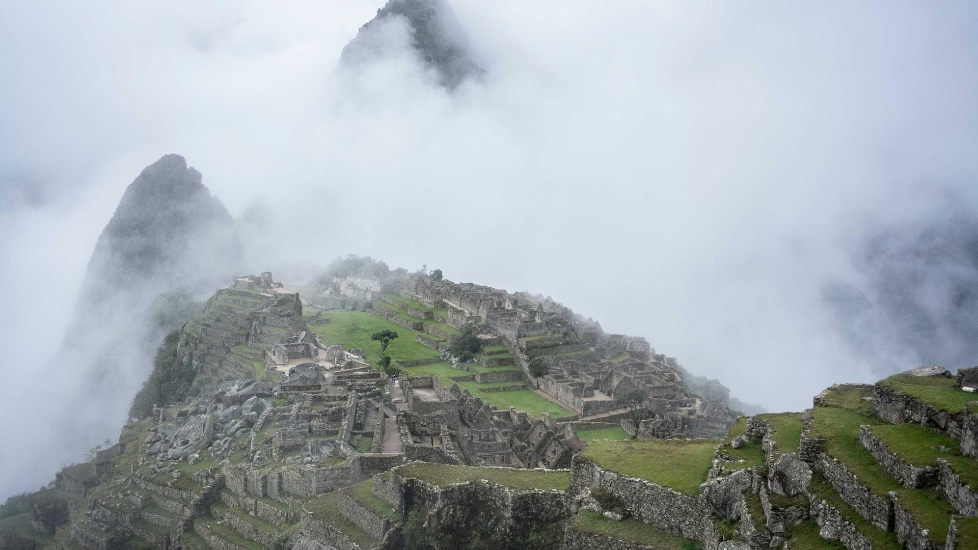 Modern Tropical Villa