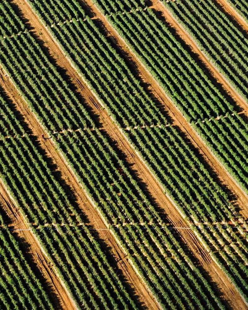 Modern Tropical Villa Detail 2